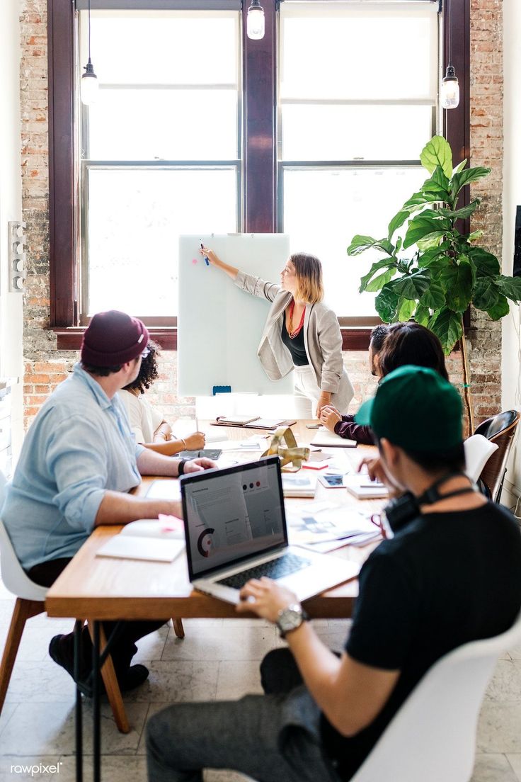 Professionnalisation